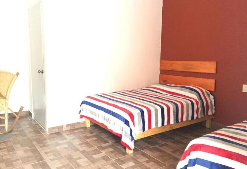 חדר סטנדרט, Pedregal