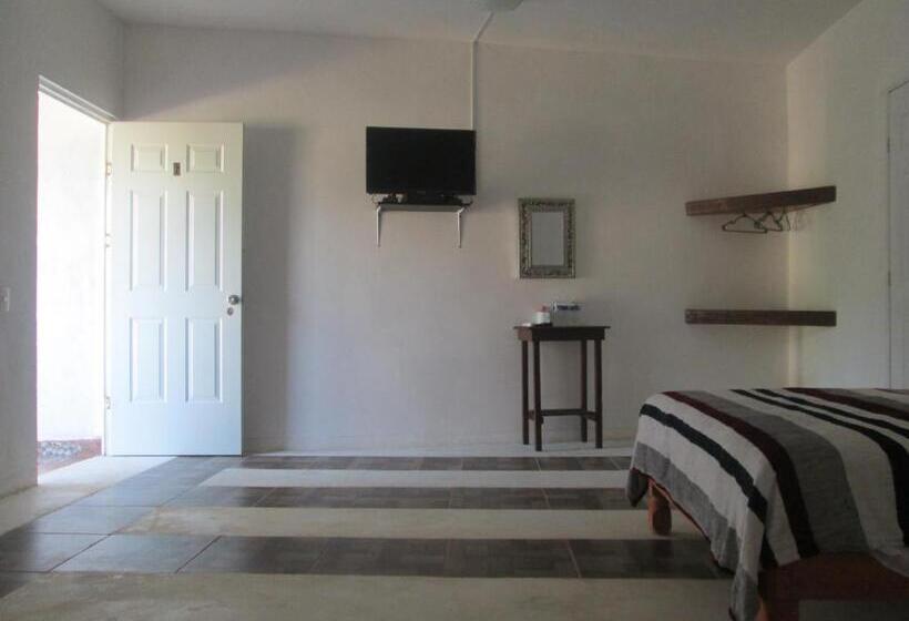 חדר סטנדרט לשלושה, Pedregal