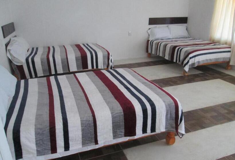 חדר סטנדרט לשלושה, Pedregal