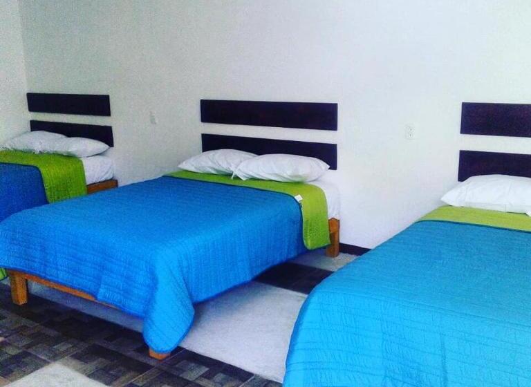 חדר סטנדרט לשלושה, Pedregal