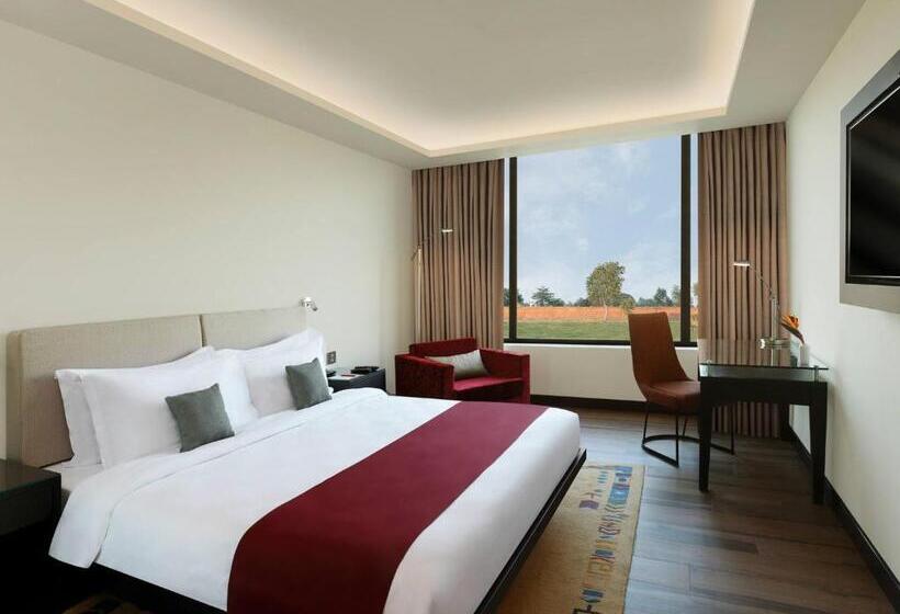 اتاق لوکس, Tiger Palace By Soaltee