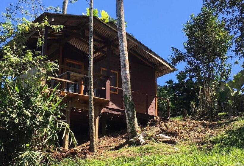 豪华房间, Bella Vista Ranch Ecolodge