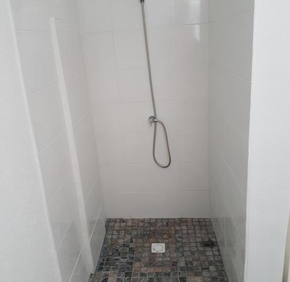 استودیوی استاندارد, Apartment Curacao