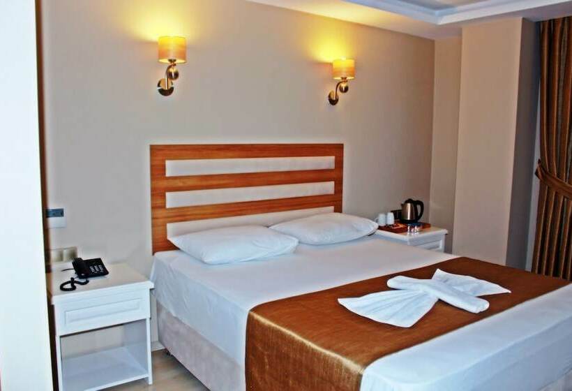 اتاق استاندارد با تخت دوبل, Feza Otel