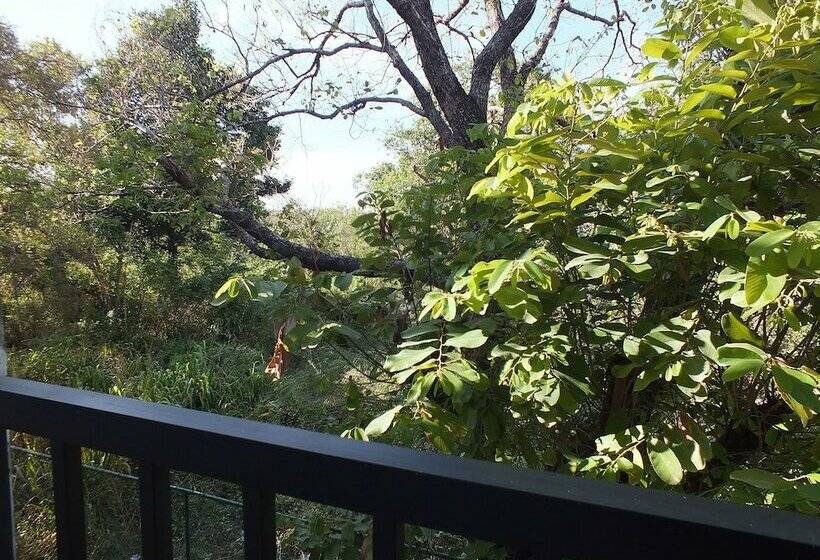 디럭스 룸, Amelia Resort