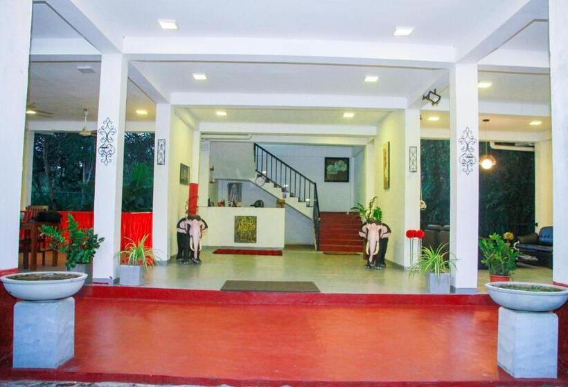 디럭스 트리플 룸, Amelia Resort