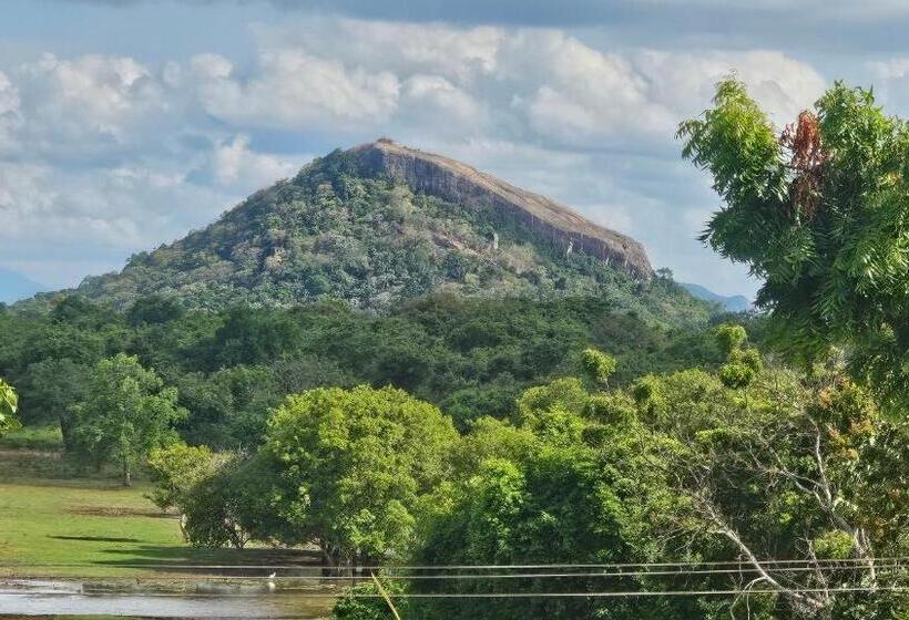 디럭스 트리플 룸, Amelia Resort