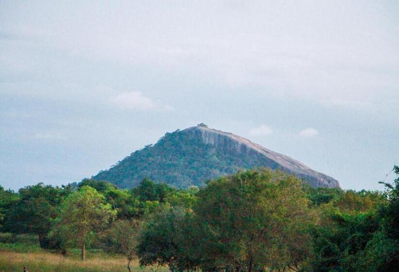 디럭스 패밀리 룸, Amelia Resort