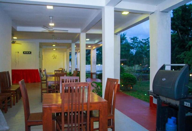 디럭스 패밀리 룸, Amelia Resort