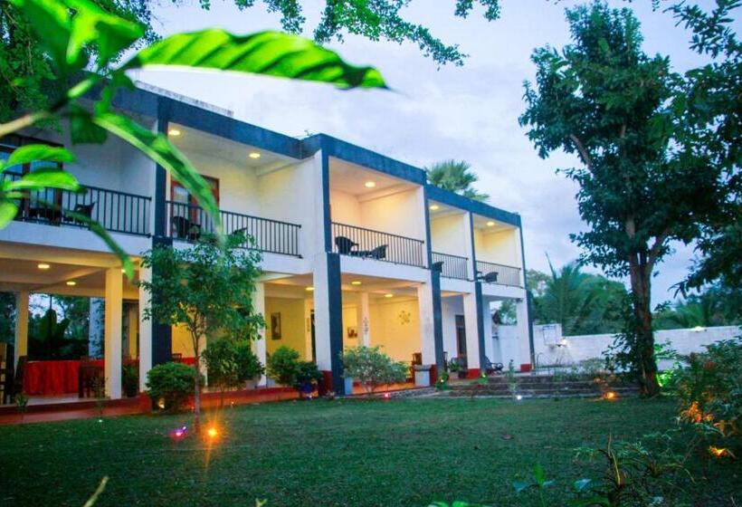 Семейный Номер Deluxe, Amelia Resort