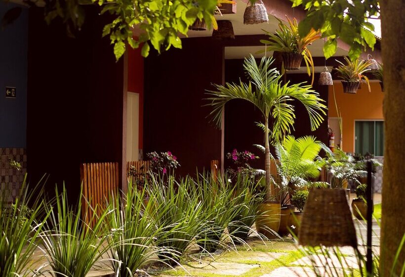 חדר סטנדרט, Muda