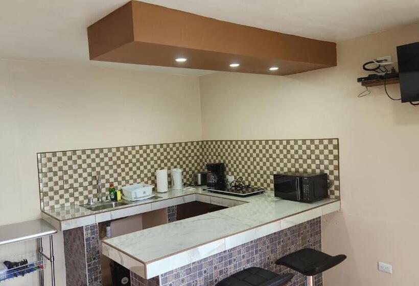 آپارتمان 1 خوابه با تراس, La Guayaba Monteverde