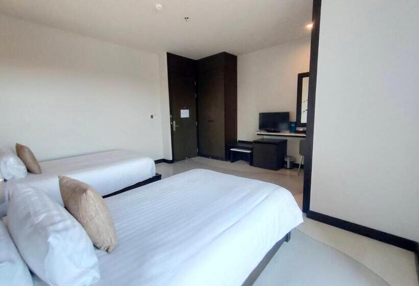 高级大房间, Sorin