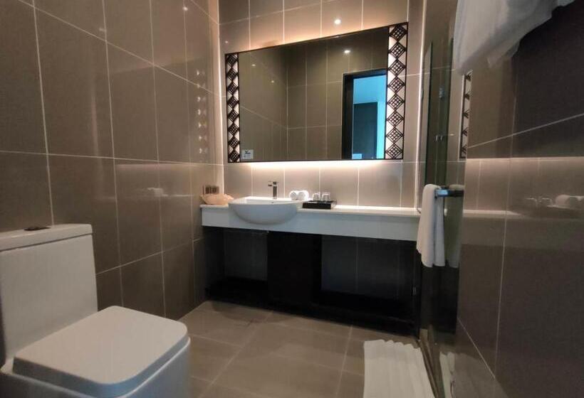 高级大房间, Sorin