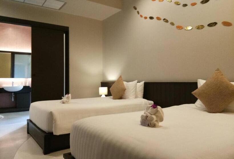 高级大房间, Sorin