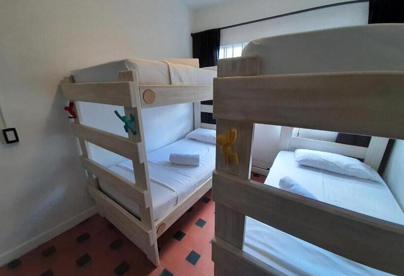 Кровать в Общей Комнате, Noah Boutique Hostels Medellín