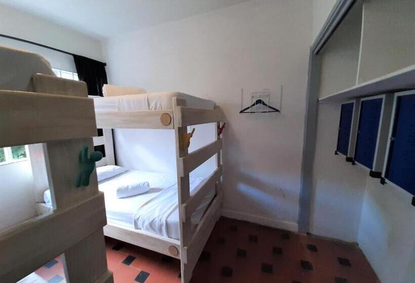 Кровать в Общей Комнате, Noah Boutique Hostels Medellín