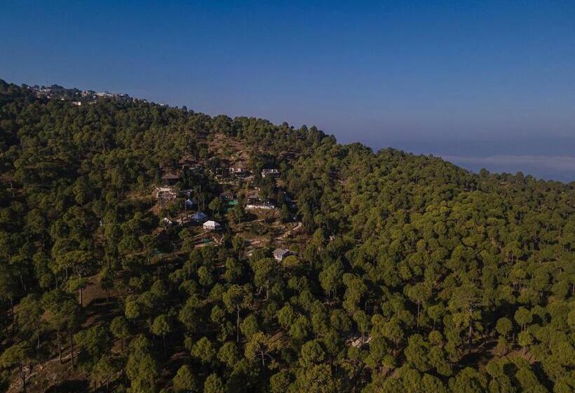 Standard Tent, Seed At Queens Meadows, Ranikhet