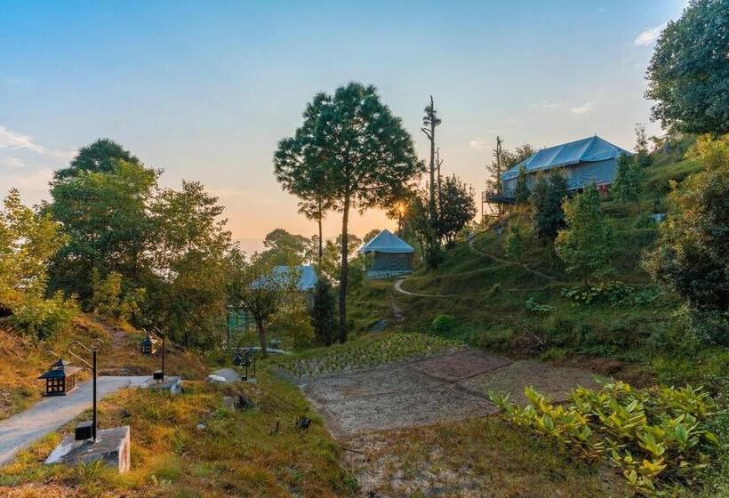 Standard Tent, Seed At Queens Meadows, Ranikhet