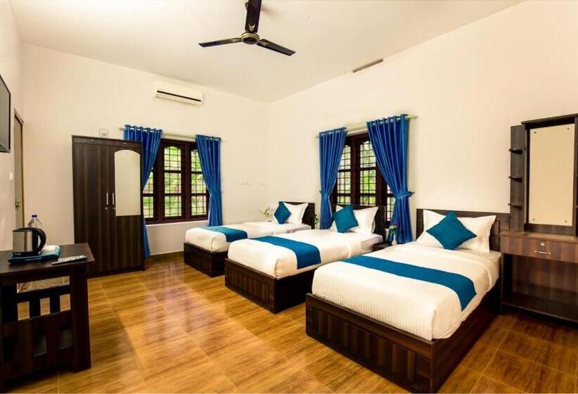 Номер Стандарт Трехместный, Three Roots Holiday Home Resort