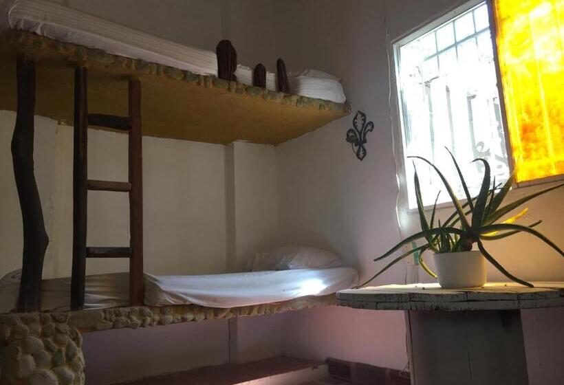 ルームシェアのワンベッド, Casa Barca Taganga Hostel