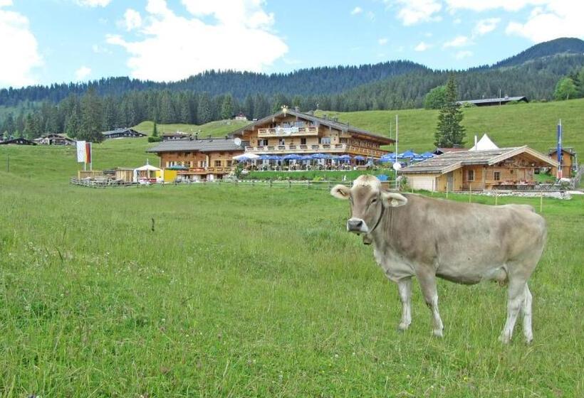 آپارتمان 1 خوابه, Winklmoos Sonnenalm
