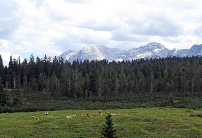 اتاق اکونومی, Winklmoos Sonnenalm