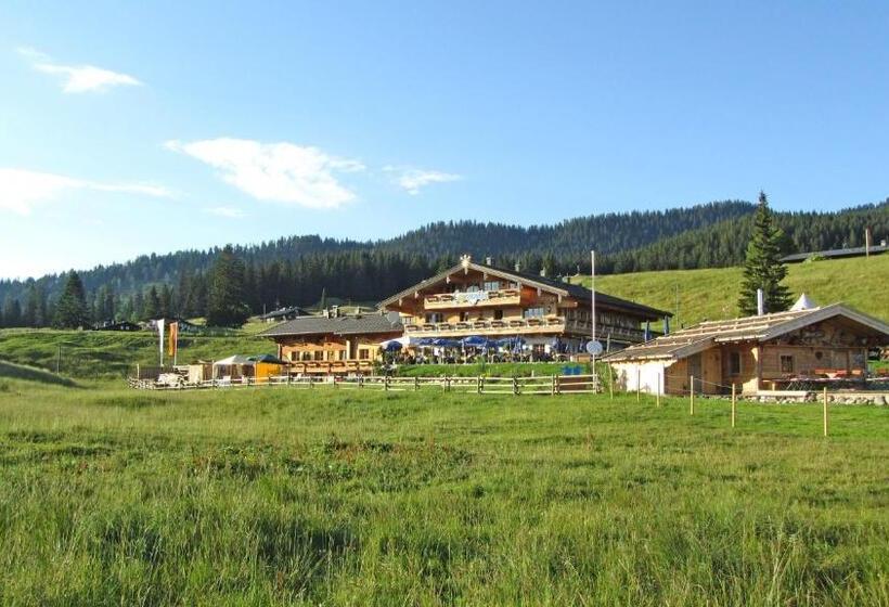 اتاق اکونومی, Winklmoos Sonnenalm