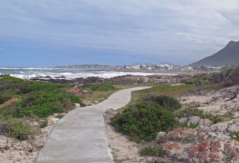 اتاق سوپریور, Shore S Edge