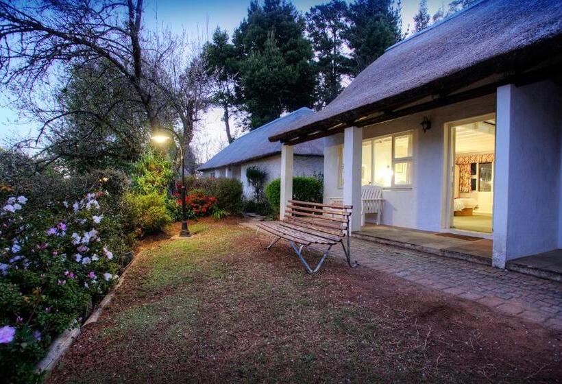 Номер Стандарт, Hogsback Arminel