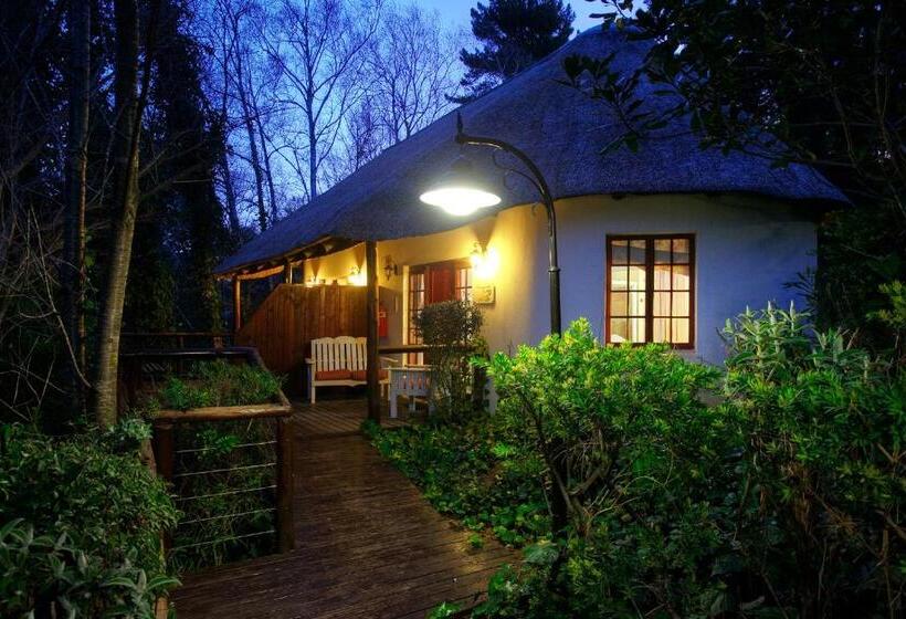 חדר סטנדרט, Hogsback Arminel