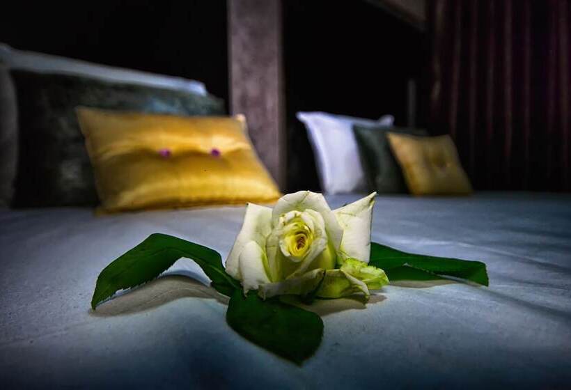 اتاق استاندارد, Vents Des Iles