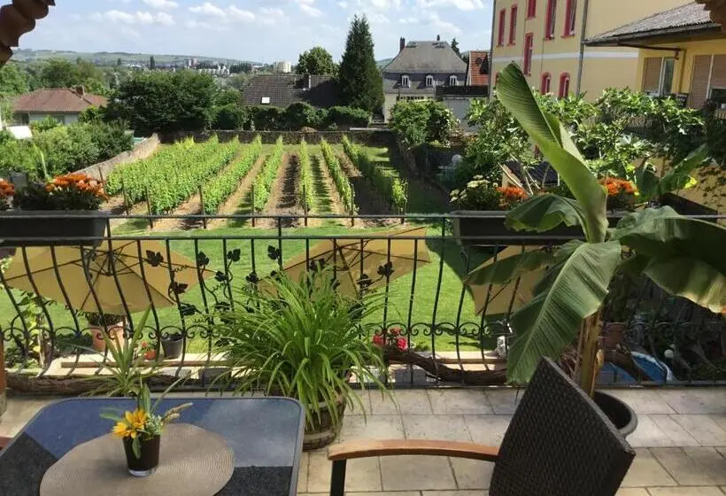 バス共有のスタンダードルーム, Bed And Breakfast Rheingauer Hof