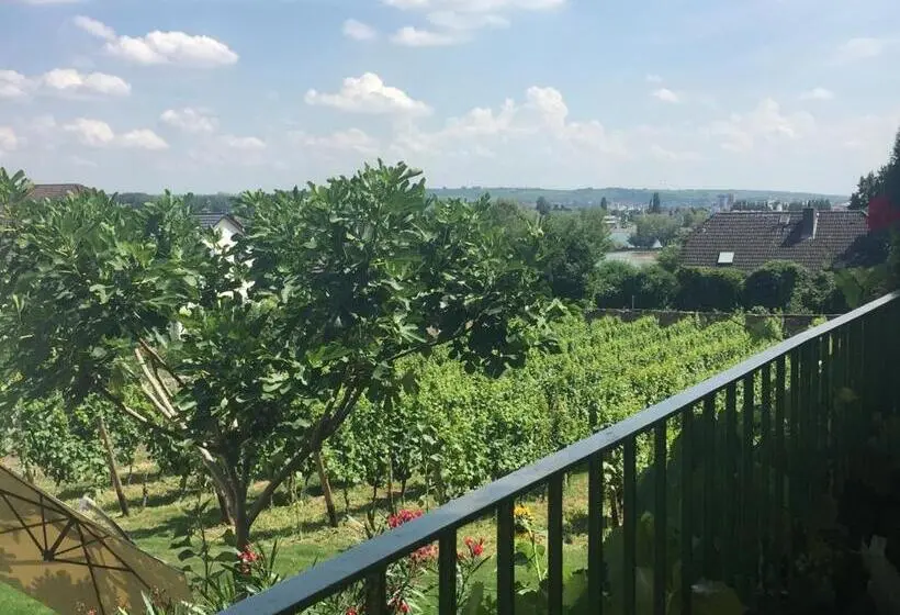 浴室共有ファミリールーム, Bed And Breakfast Rheingauer Hof