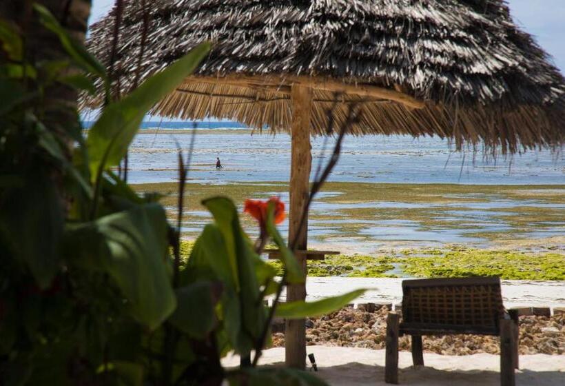 اتاق استاندارد با تخت بزرگ, Milele Beach Resort