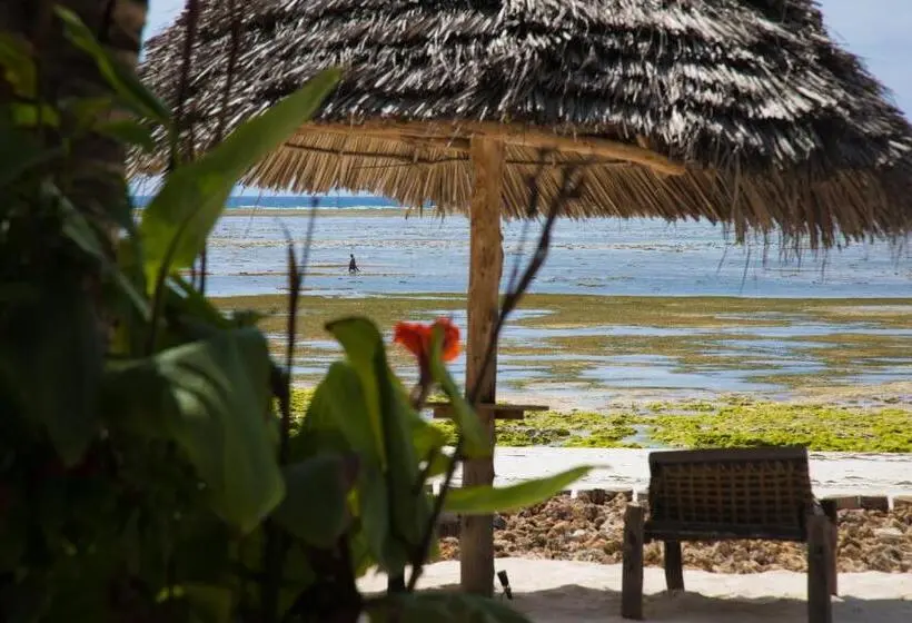 キングサイズベッドのスタンダードルーム, Milele Beach Resort