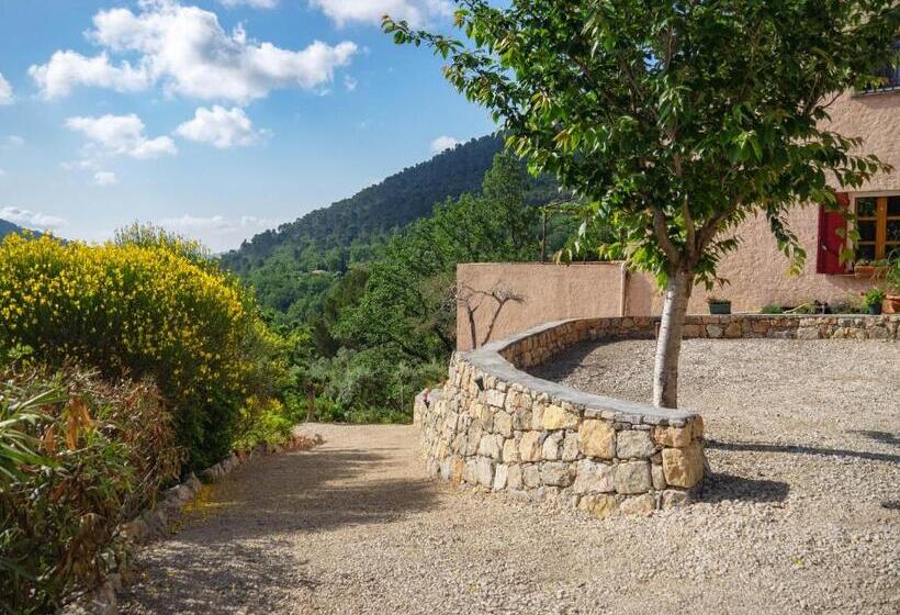 Номер Стандарт, B&b L'estuve Provencale