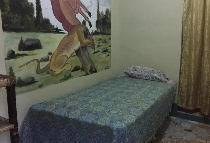اتاق اکونومی, Zazil Ha Hostel