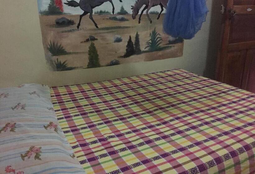 اتاق استاندارد, Zazil Ha Hostel