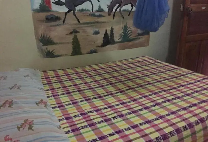 اتاق استاندارد, Zazil Ha Hostel