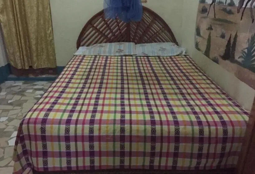 اتاق استاندارد, Zazil Ha Hostel