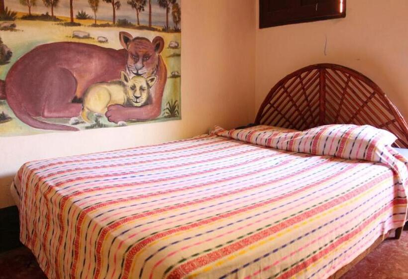 اتاق استاندارد, Zazil Ha Hostel