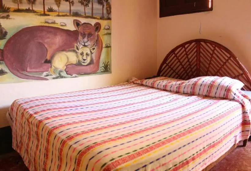اتاق استاندارد, Zazil Ha Hostel