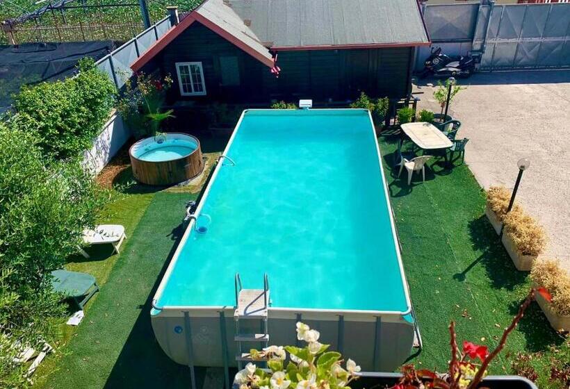 اتاق لوکس, B&b S Home
