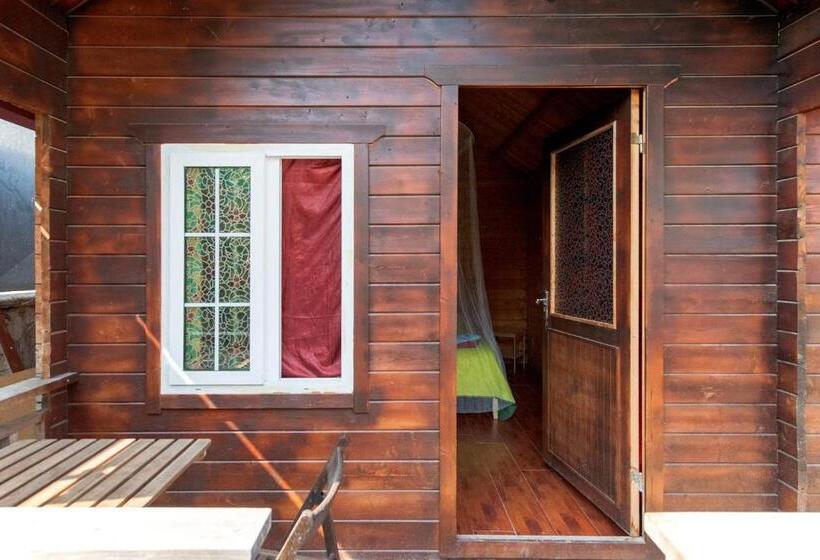 اتاق استاندارد با چشم‌انداز استخر, B&b S Home