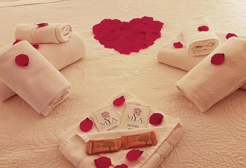 标准间带漩涡浴缸, Elegance B&b