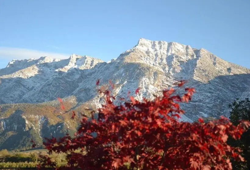 اتاق استاندارد یک نفره, Al Brenta