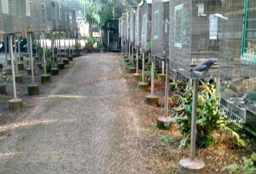 Трехместный Номер Классика, Capricho Asturiano