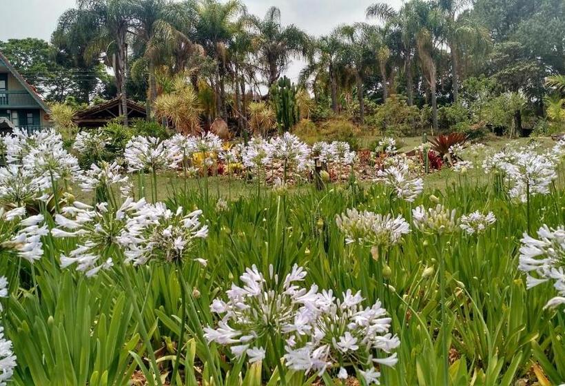 Шале 1 Спальня, Capricho Asturiano