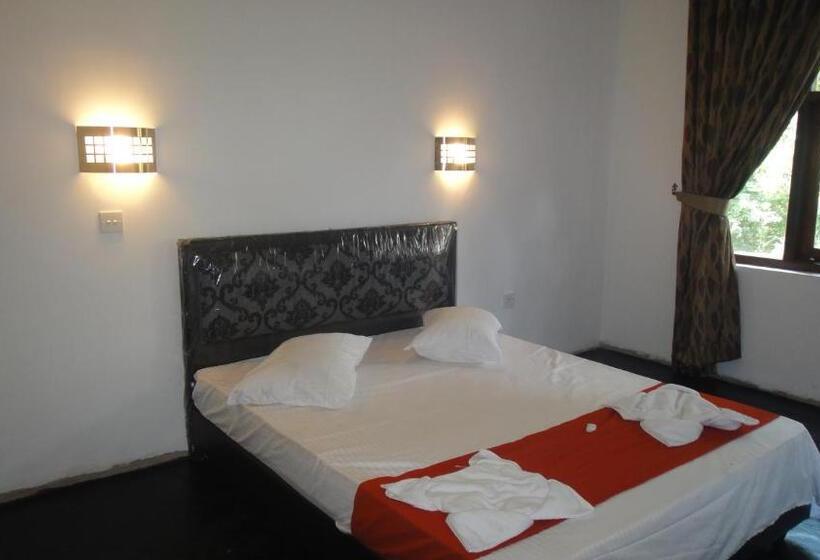 غرفة قياسية, The Kingston